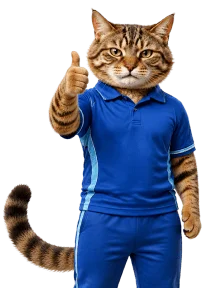 Promo Cat