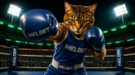 Boxing